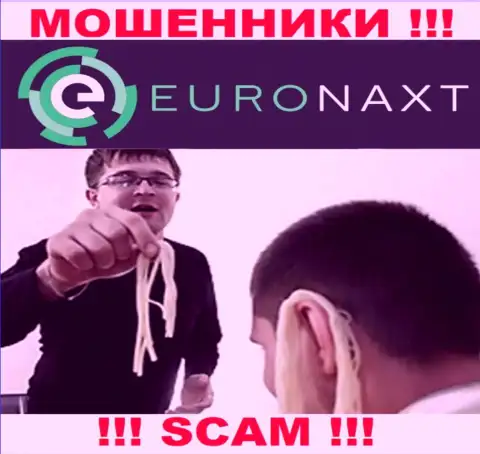 EuroNaxt Com намереваются развести на взаимодействие ? Осторожнее, обворовывают