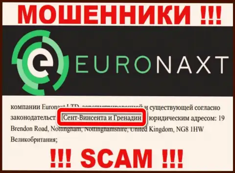 Поскольку EuroNaxt Com зарегистрированы на территории St. Vincent and the Grenadines, похищенные финансовые средства от них не вернуть