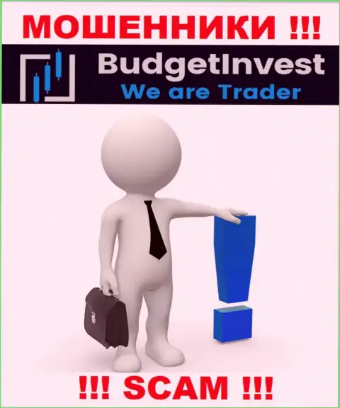 BudgetInvest - это интернет-мошенники ! Не сообщают, кто ими руководит