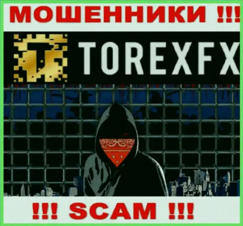 TorexFX не разглашают информацию об руководстве конторы