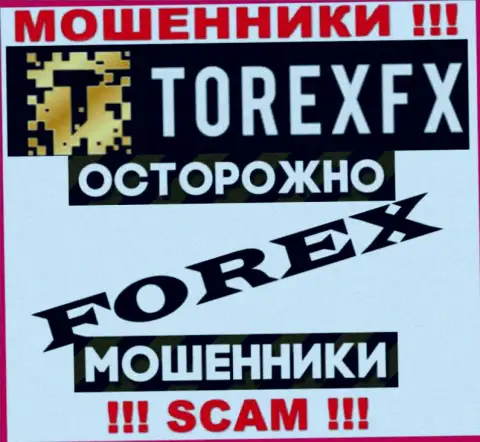 Род деятельности TorexFX: Forex - отличный заработок для интернет лохотронщиков